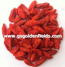 Green Health Food Goji Berries Red Chinese Wolfberry Lycium Barbarum On Sale