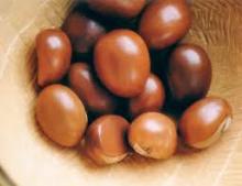 Shea Nuts