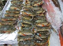 Top Quality Soft shell crab