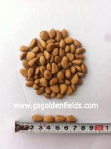 Factory Supply Organic Pine Nuts Green Food Pine Nuts Kernels Health Food Nuts
