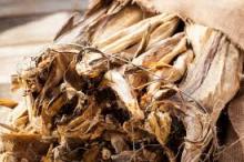 Cod supply in norway Cod fillets stockfish cod
