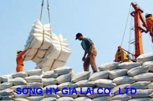 CHEAP LONG GRAIN WHITE RICE VIETNAM ORIGIN