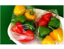 Food Packaging Material