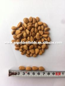 Organic Pine Nuts 100% Nature Pine Nut Kernels Factory Best Price!