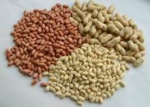 Blanched Peanut/Peanut