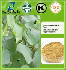 Herbal Extract Resveratrol 98%