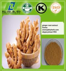  Natural  herbal  extract   Ginger   Extract  5% Gengerols  Powder 