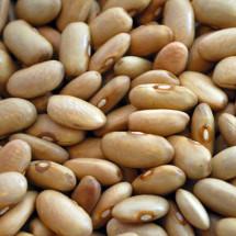 Natural Brown yellow  soybean   sprouts 