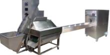 Automatic One Conveyor Onion Peeling and Root Cutting machine