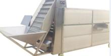 RJY-FX-1 Automatic fruit and vegetable sorting machine
