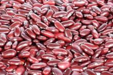  Dark   Red   Kidney   Bean s