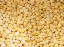  iqf   sweet   corn   kernels 
