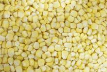 iqf sweet corn