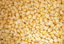 frozen sweet corn kernels