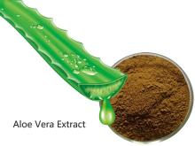 Aloe Vera extract