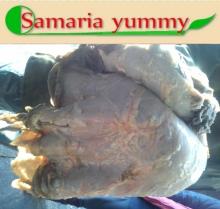  Frozen   beef   omasum  grade B from Russia