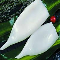 Frozen_Squid_Tube_U5_U7