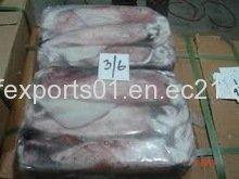 Loligo Squid Whole Round