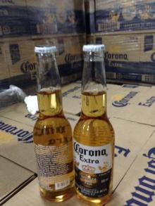 Corona Extra Beer 4x6x355 DFW-305