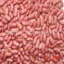  Light   Red   Kidney   Bean s, Pink  Kidney   Bean 
