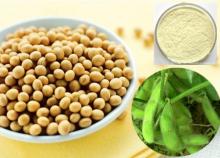  Soybean  Extract