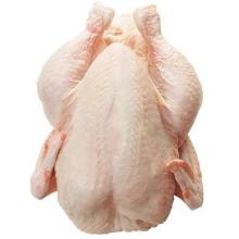 High Quality, Halal Slaughtered Frozen Chicken, Chicken Feet etc