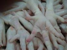 Halal Slaughtered Frozen Chicken Feet and Frozen Chicken Paws