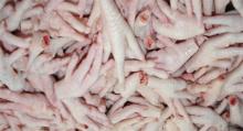 Grade A,  Halal   slaughter ed Chicken Feet, Paws and Leg Quarter