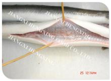  frozen   eel  fish, gutted