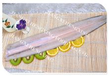 frozen eel fillet