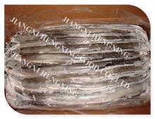 frozen gutted eel, european eel fish