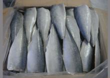 Замороженные морепродукты из филе скумбрии китайского производства