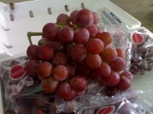 China red globe grape