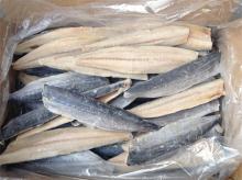 frozen spanish mackerel fillets Grade A
