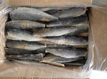 frozen spanish mackerel fillets Grade B