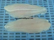 Frozen  Pangasius  Fillet