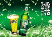 Cold Snow Beer