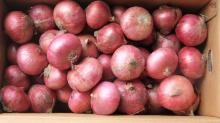  Red   Onion 