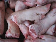 Frozen Pork Legs