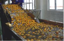 Bubble Cleaning Machine