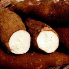  Modified   Cationic  Cassava  Starch 