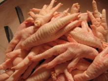 FROZEN CHICKEN FEET FOR SELL