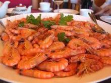  Frozen  Shrimps