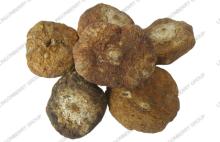Maca Extract, 60% macamides