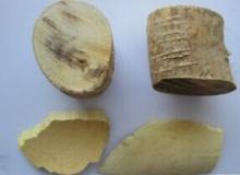 Tongkat Ali Extract