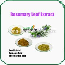 25 % ursolic acid powder rosemary oleoresin extract rosmarinus officinalis l.