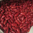 HIGH QUALITY KIDNEY BEANS