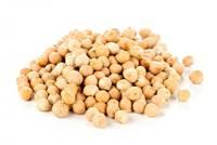Chickpeas,Green Peas,Kidney Bean for sale