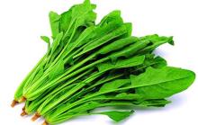 Sodium  Copper   Chlorophyllin 