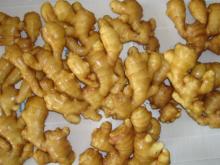 FRESH GINGER AVAILABLE 200g UP